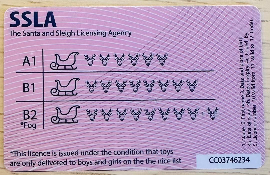 Santa's Lost Driving Licence image 3