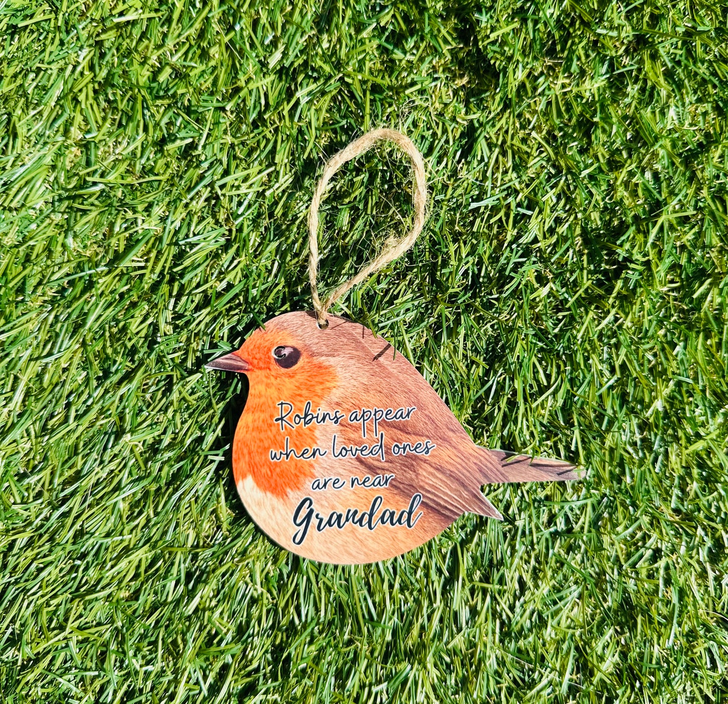Acrylic Robin