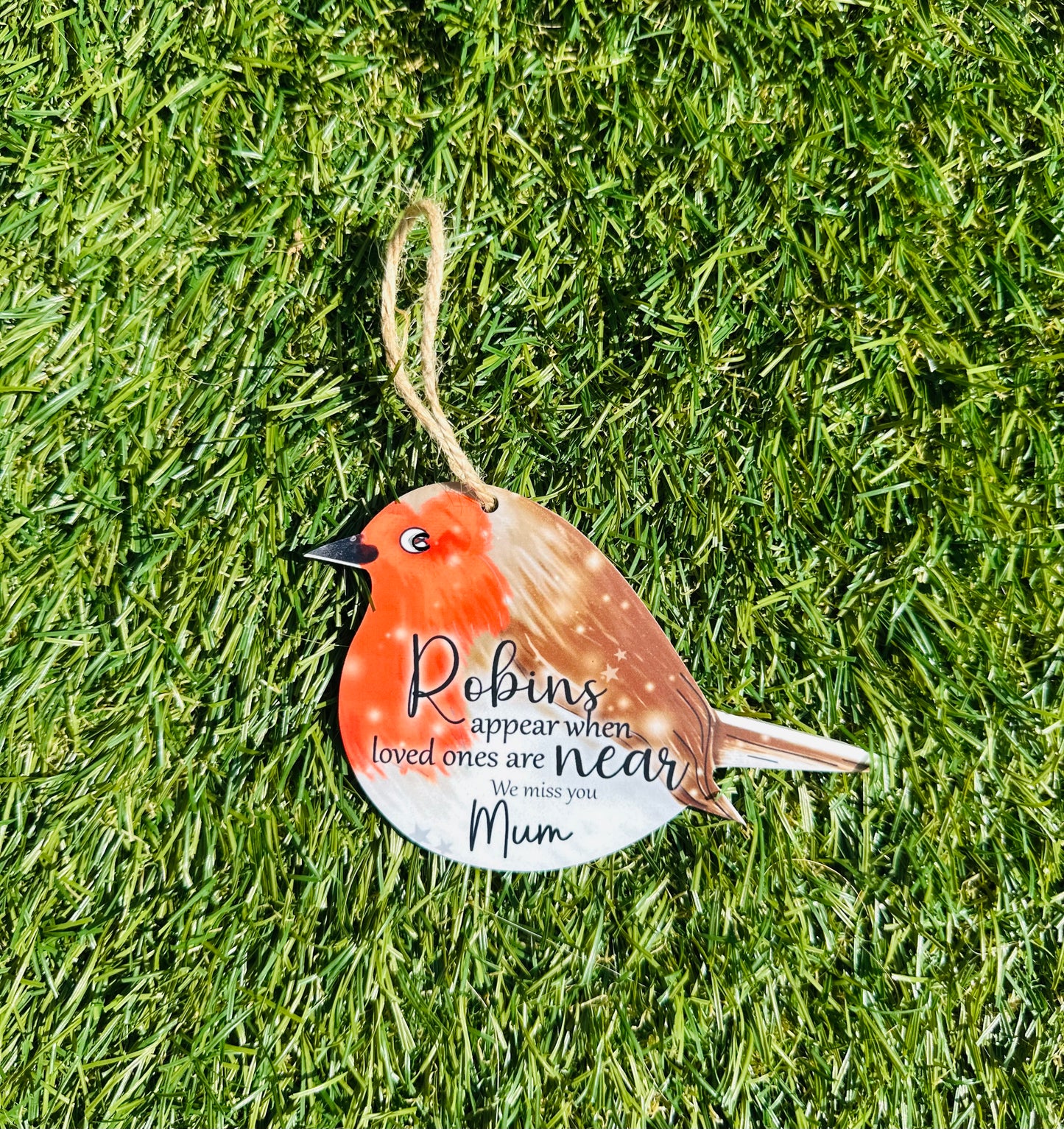 Acrylic Robin