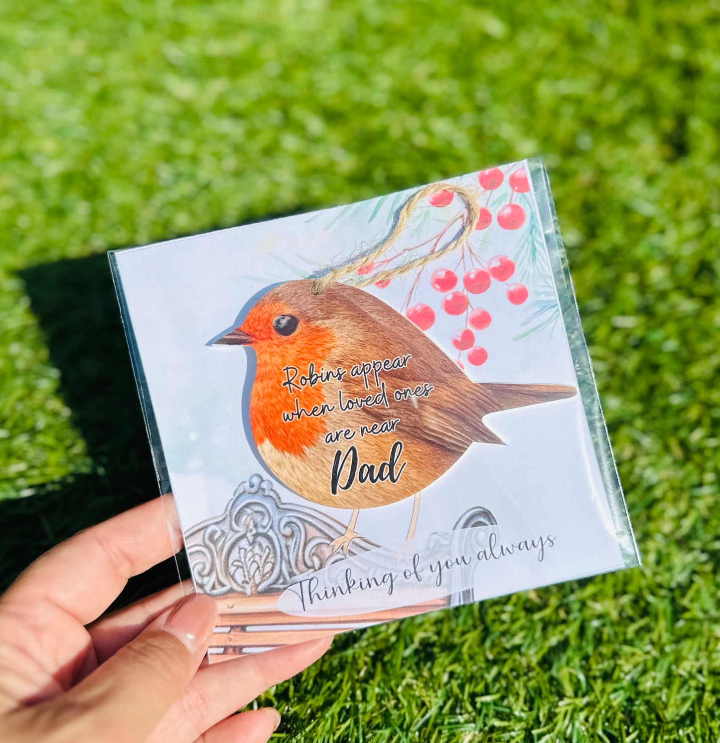 Acrylic Robin