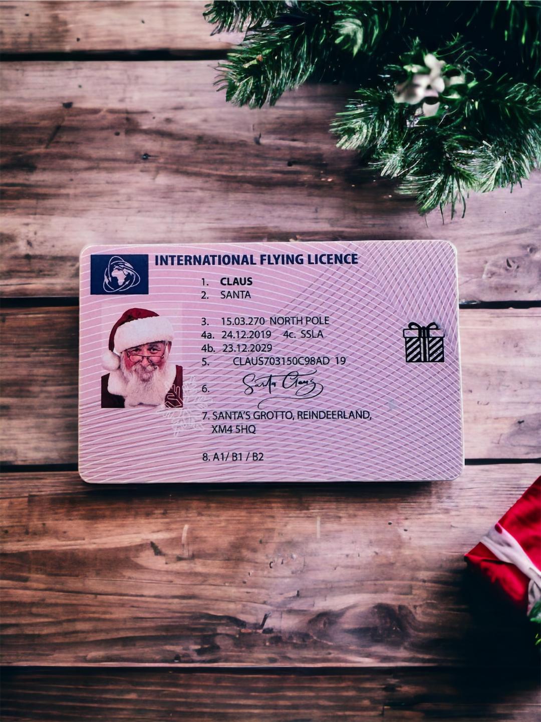 Santa's Lost Driving Licence image 0
