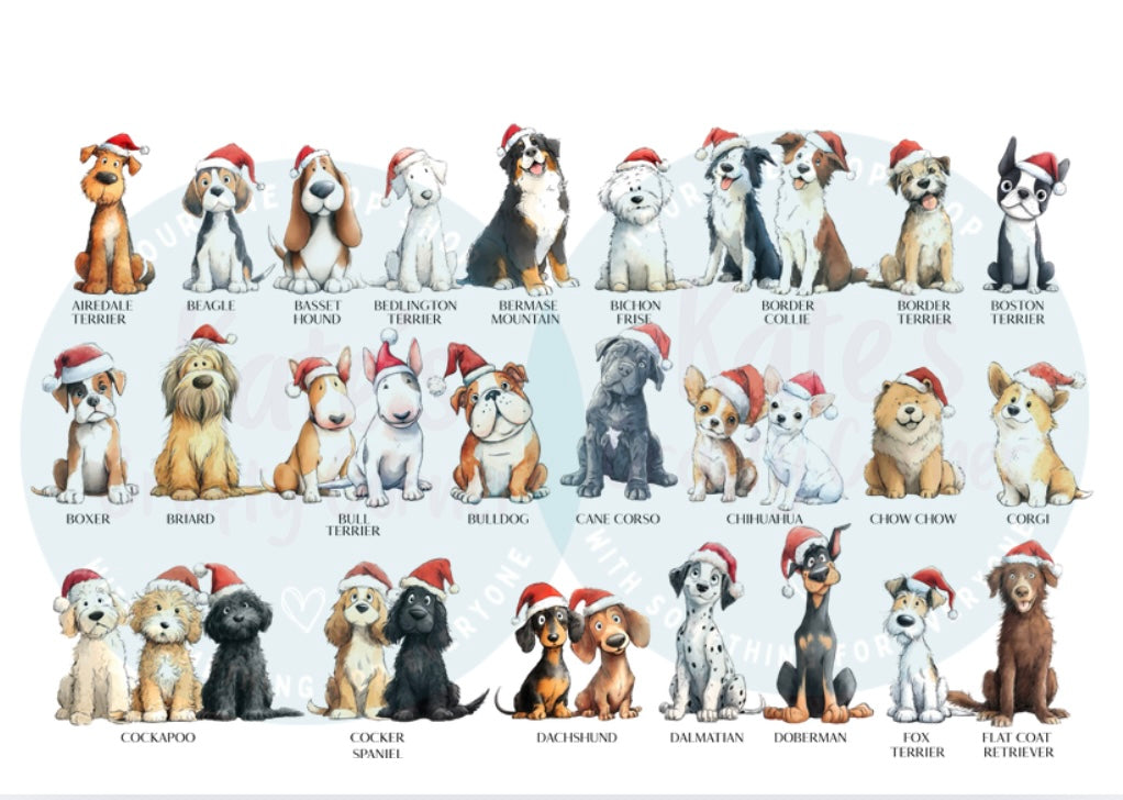 Peeping Dogs Christmas Card