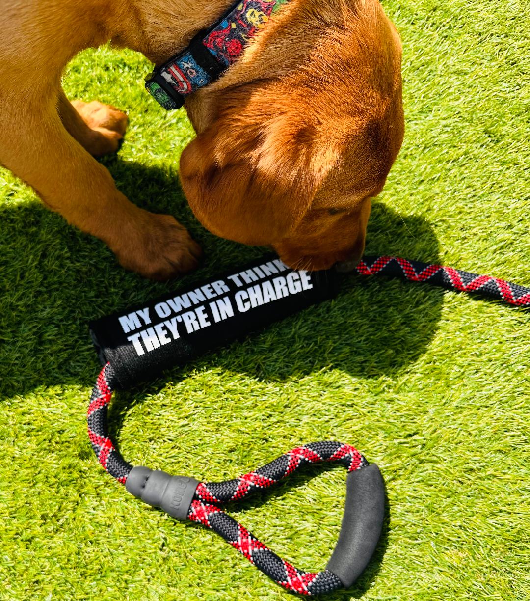 Dog Lead Sleeves image 0