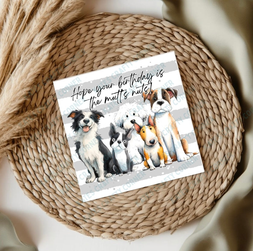 Dog Birthday Cards