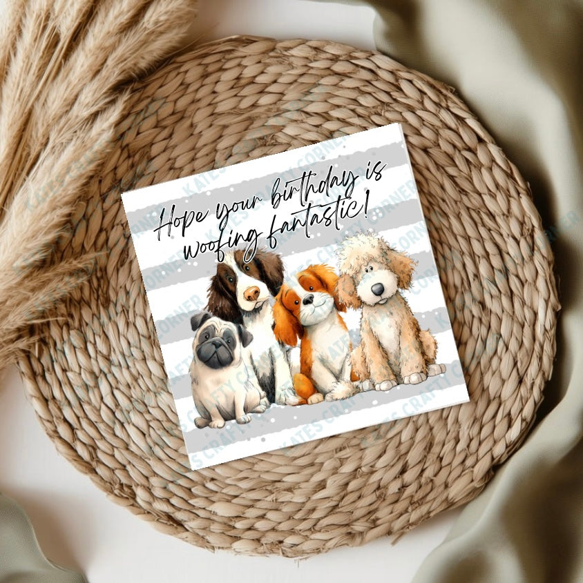 Dog Birthday Cards