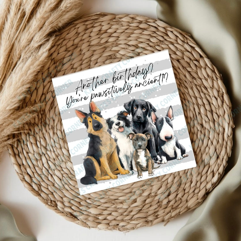 Dog Birthday Cards