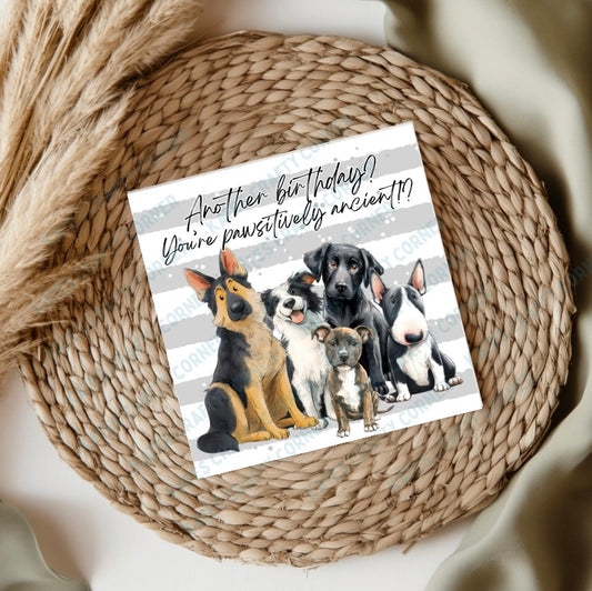 Dog Birthday Cards